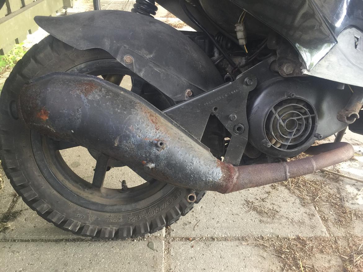 PGO Hot 50 PMPS 6 eger (SOLGT) billede 7