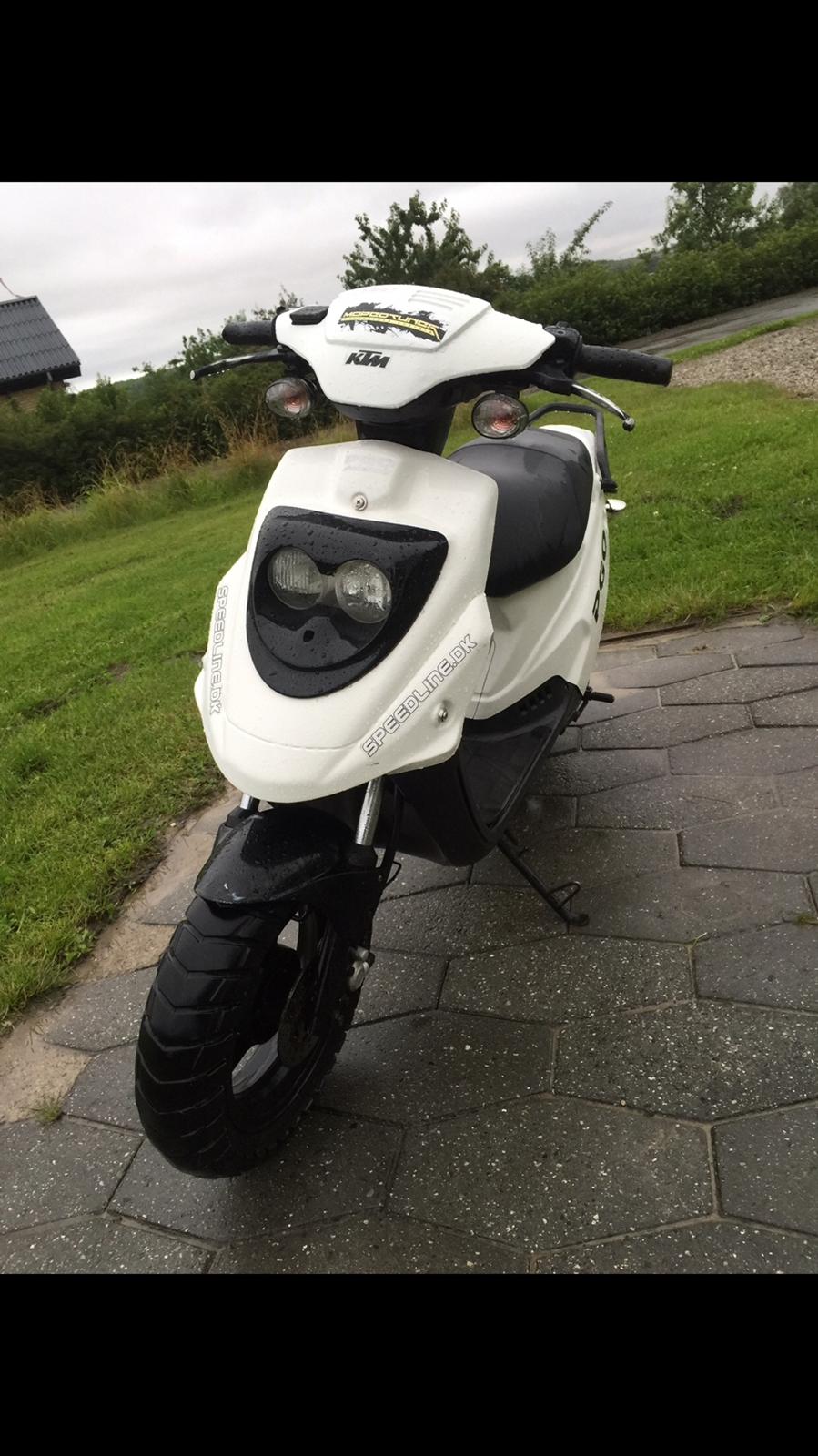 PGO Hot 50 |Tidligere scooter| billede 9