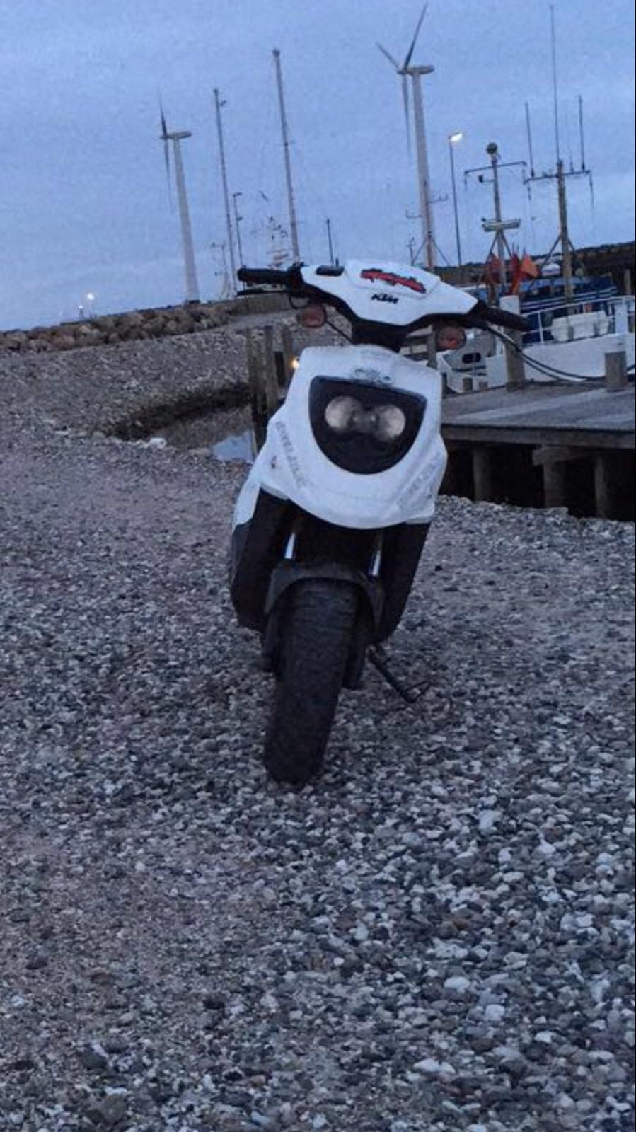 PGO Hot 50 |Tidligere scooter| billede 14