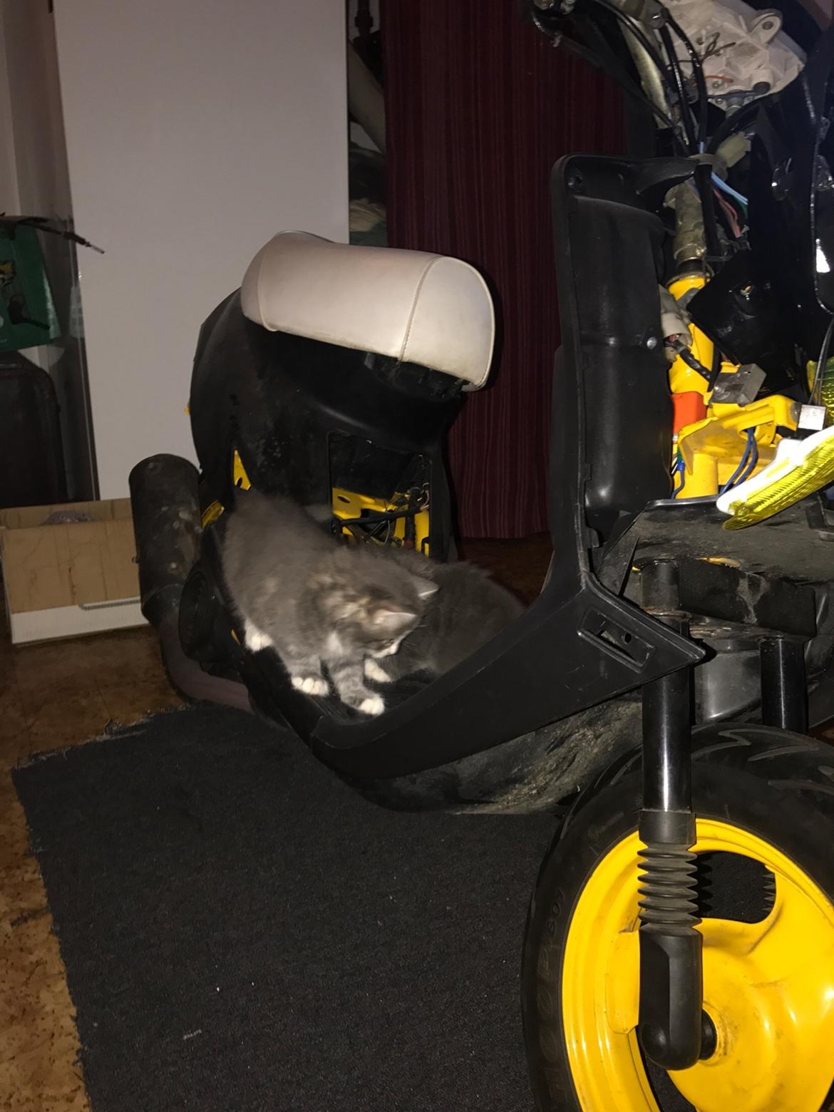 Yamaha Jog Fine Selection billede 2