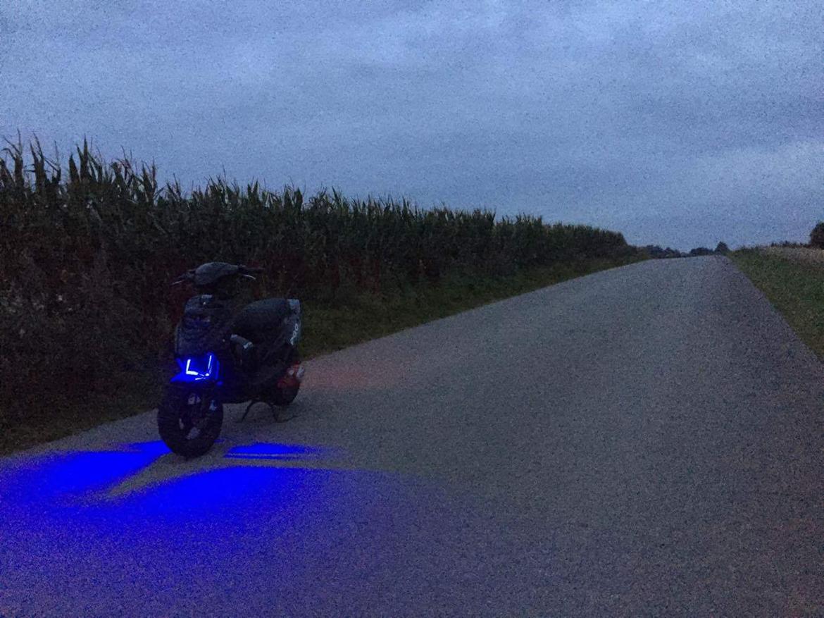 PGO Hot 50  billede 9