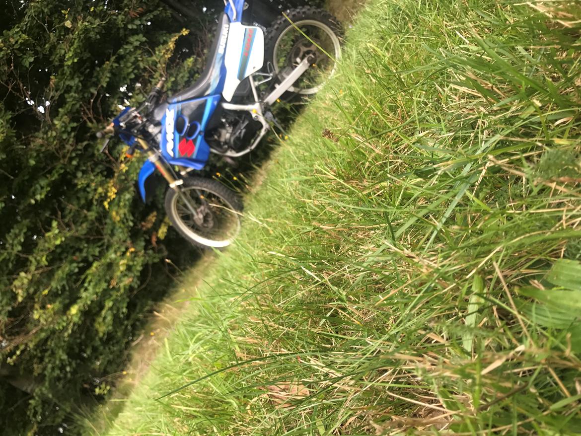 Suzuki Rmx billede 22