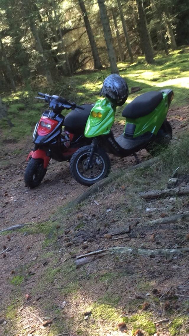 PGO Hot50 •(frøen)• billede 5