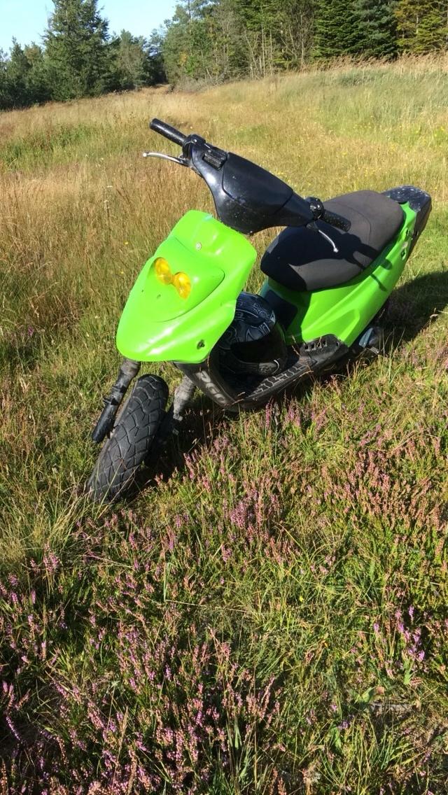 PGO Hot50 •(frøen)• billede 6