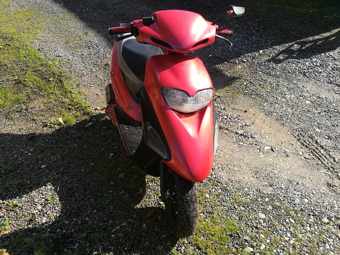 Honda Sfx billede 7