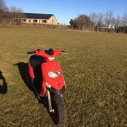 Gilera Stalker skp50