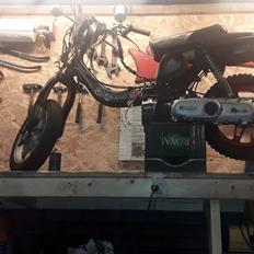 Suzuki FZ50
