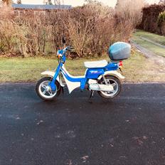 Suzuki fz50 Dynamic blue