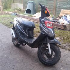 PGO Big Max (45 Knallert)