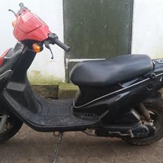 PGO Big Max (45 Knallert)