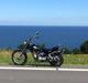 Regal Raptor dadyw 50cc