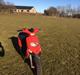 Gilera Stalker skp50