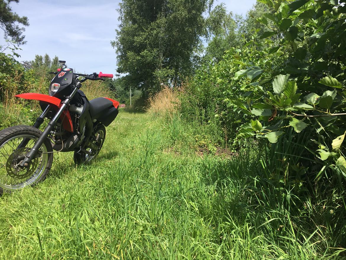 Derbi Senda SM  billede 3