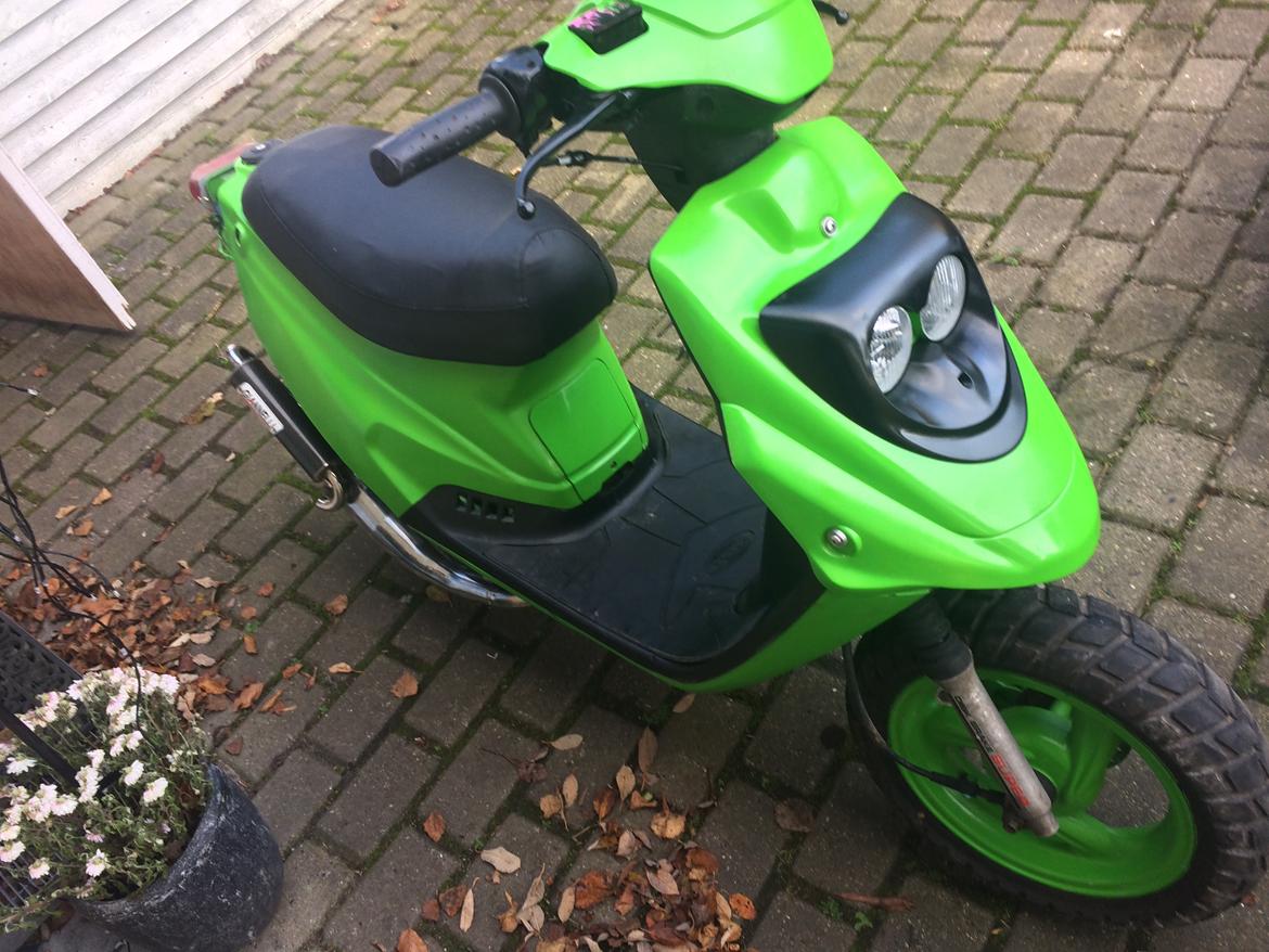 PGO Hot 50 tidl scooter billede 1