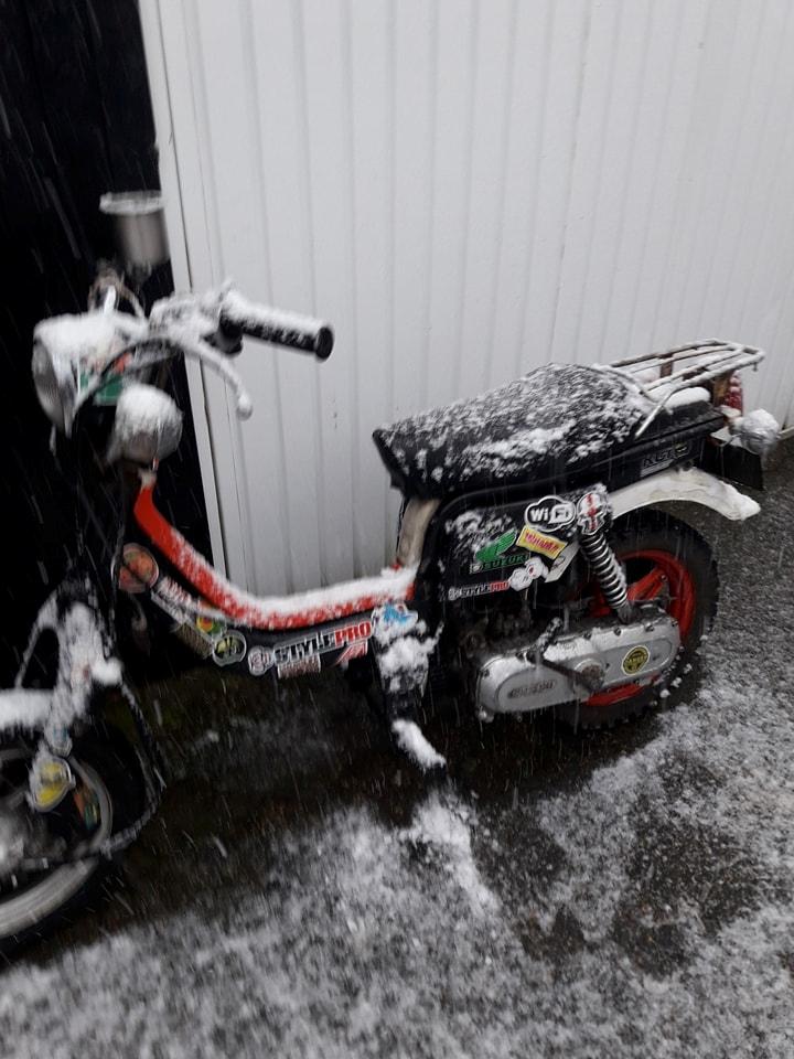 Suzuki FZ50 billede 4