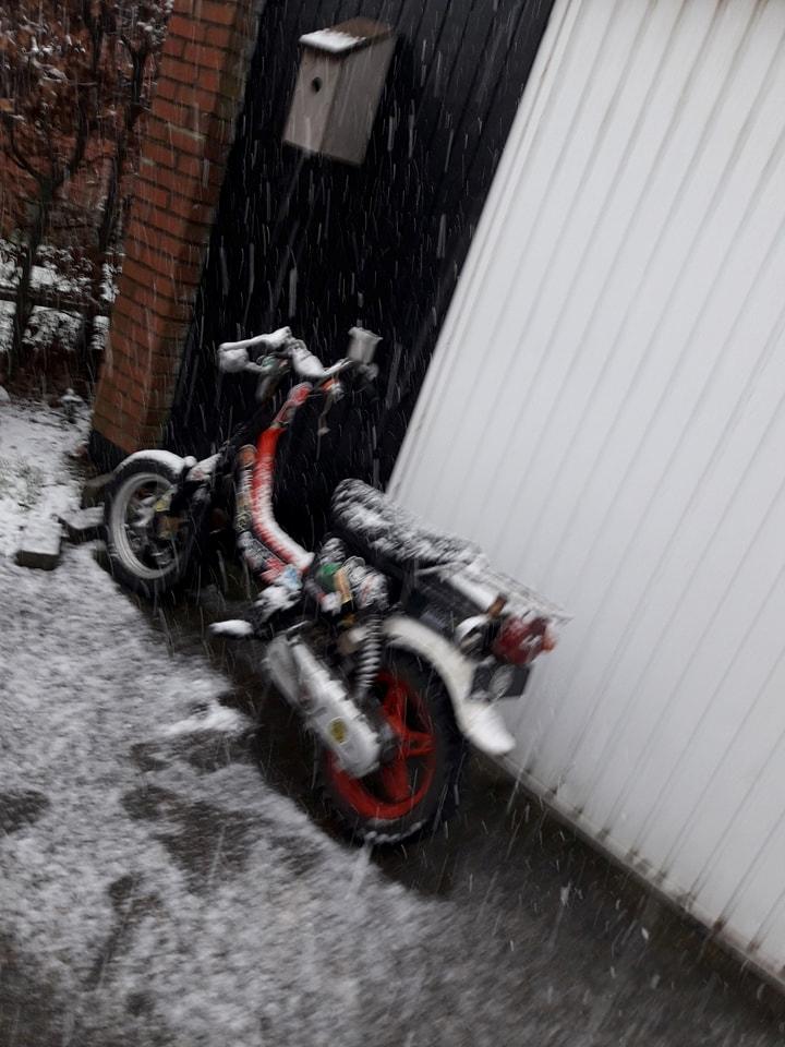 Suzuki FZ50 billede 5