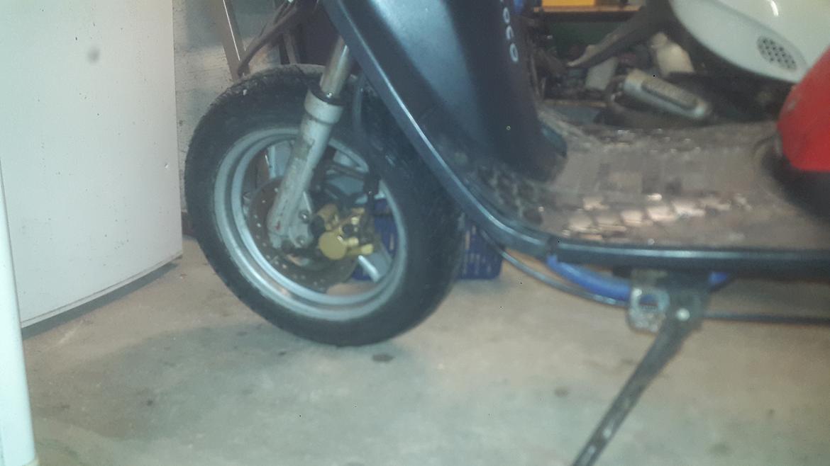 CPI Popcorn / Jog R. billede 10