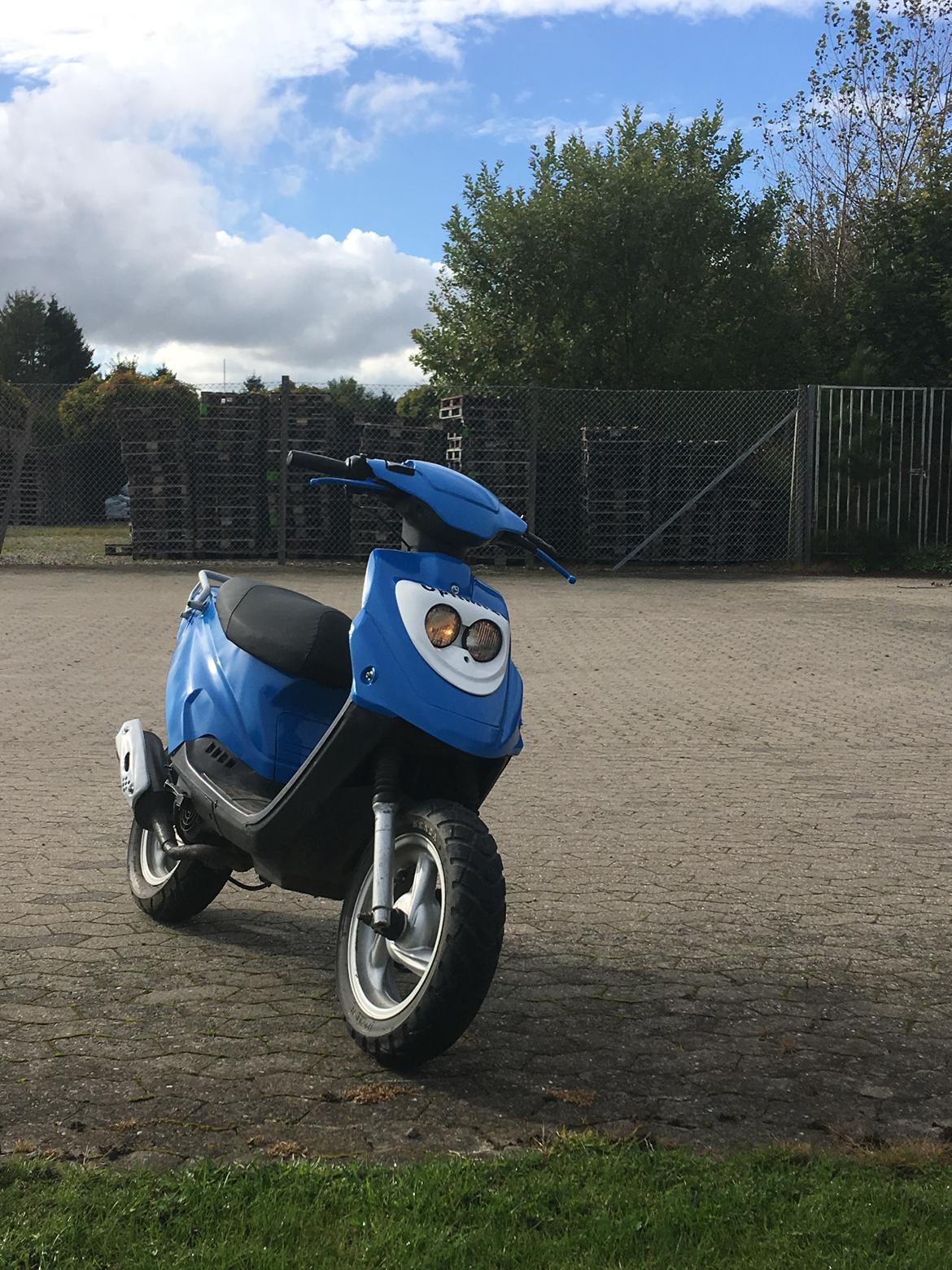 PGO Hot 50 billede 4