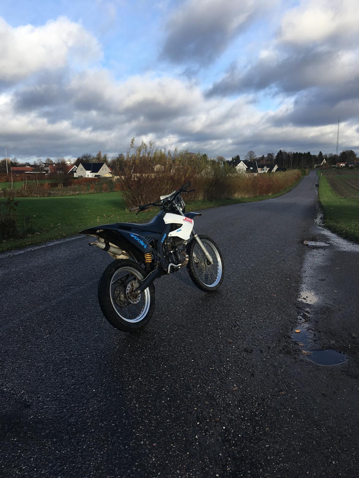 Gilera Rcr 50 billede 11