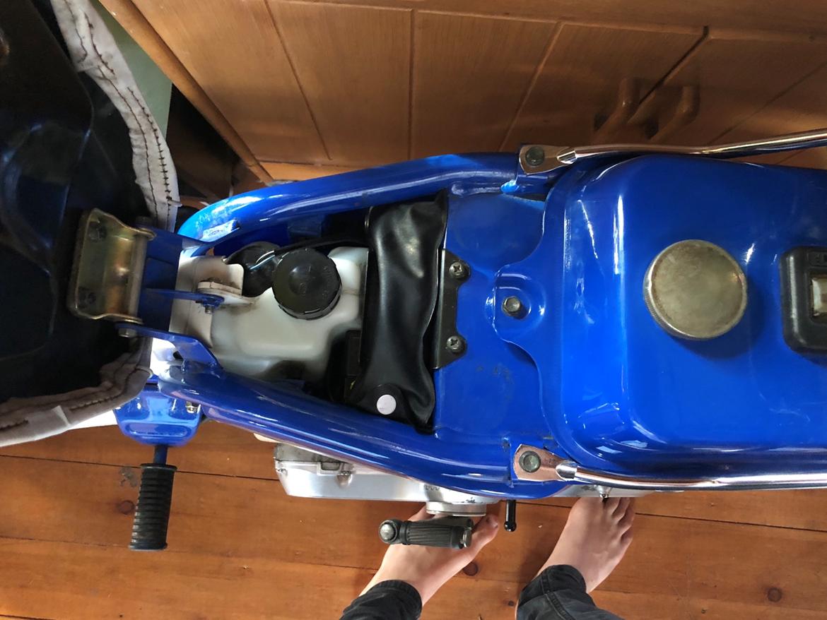 Suzuki fz50 Dynamic blue billede 5