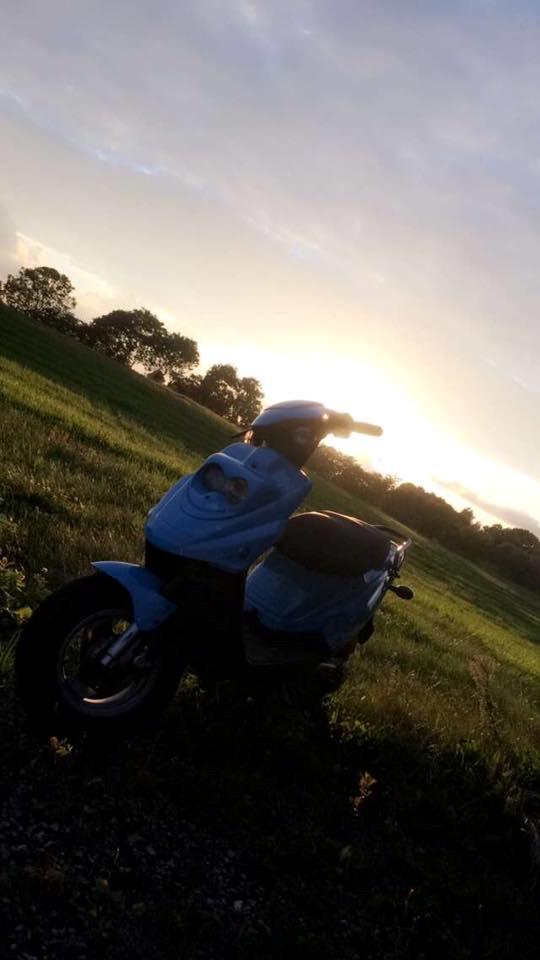 PGO Hot 50 billede 11