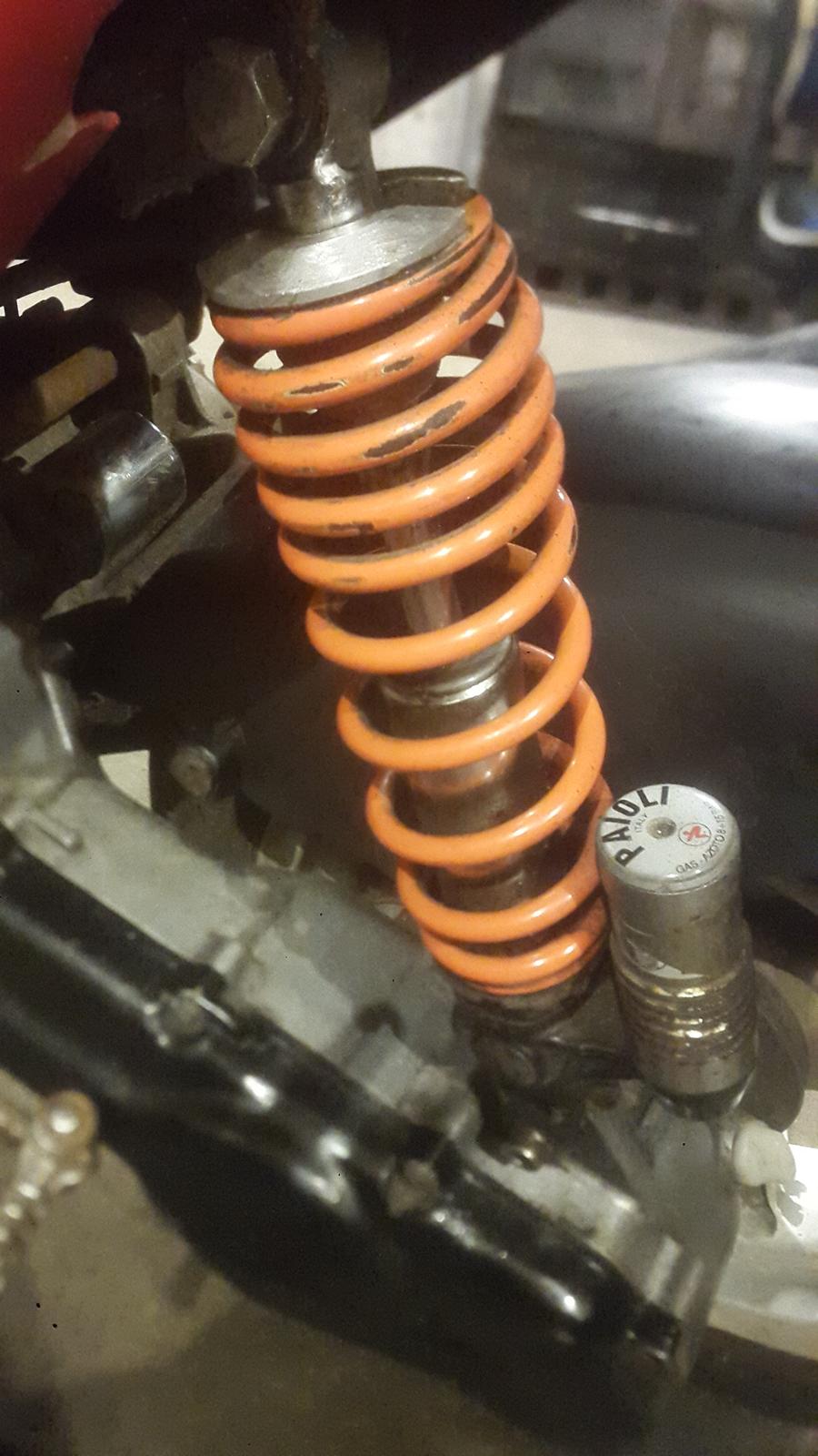 CPI Popcorn / Jog R. billede 12