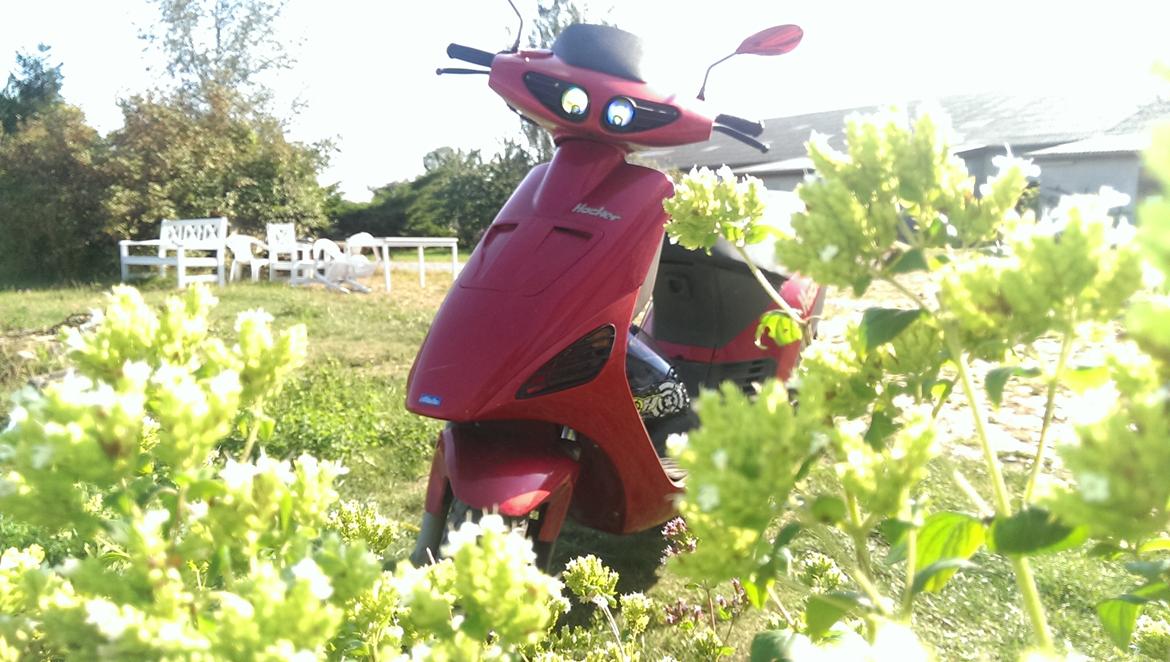 Atala Hacker AT12 billede 11