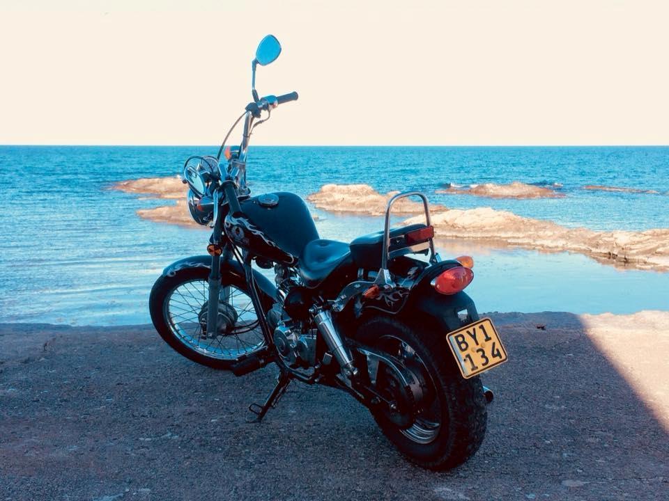 Regal Raptor dadyw 50cc billede 2