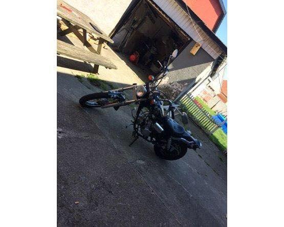 Regal Raptor dadyw 50cc billede 3