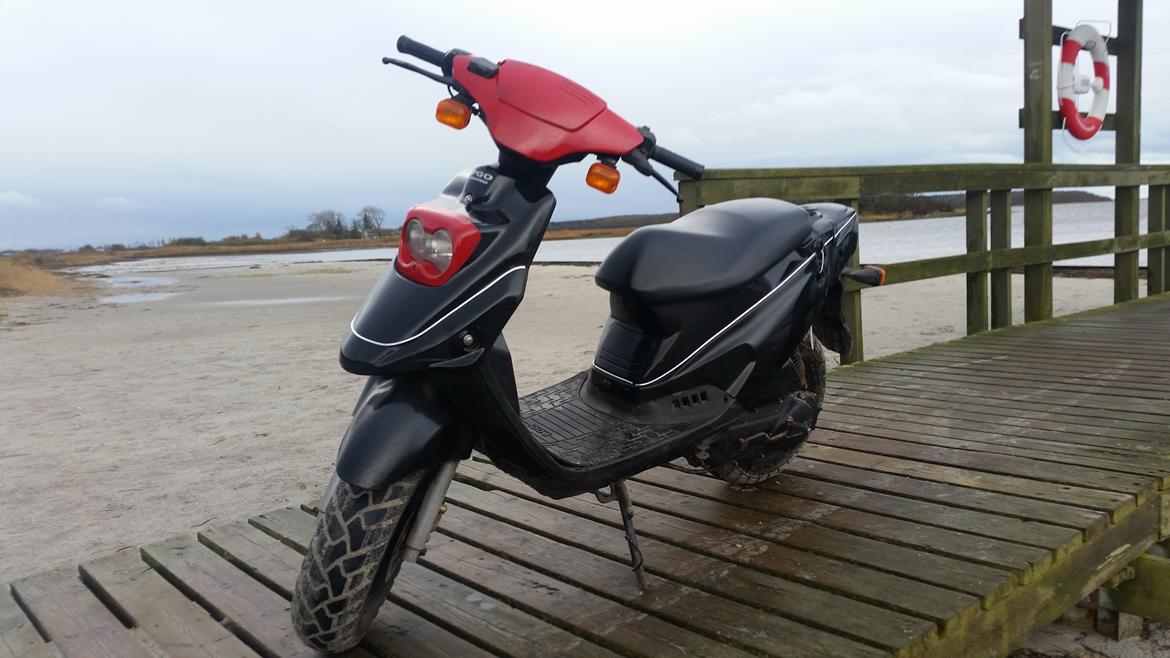 PGO Big Max (45 Knallert) billede 6