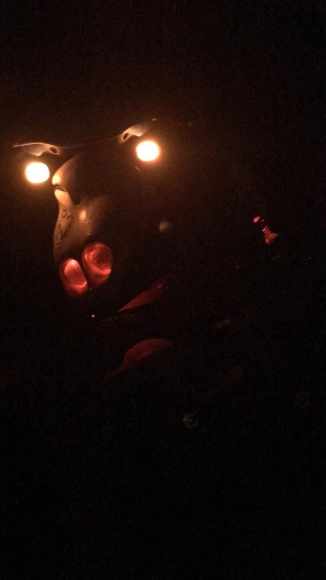 PGO Pmx sport billede 5