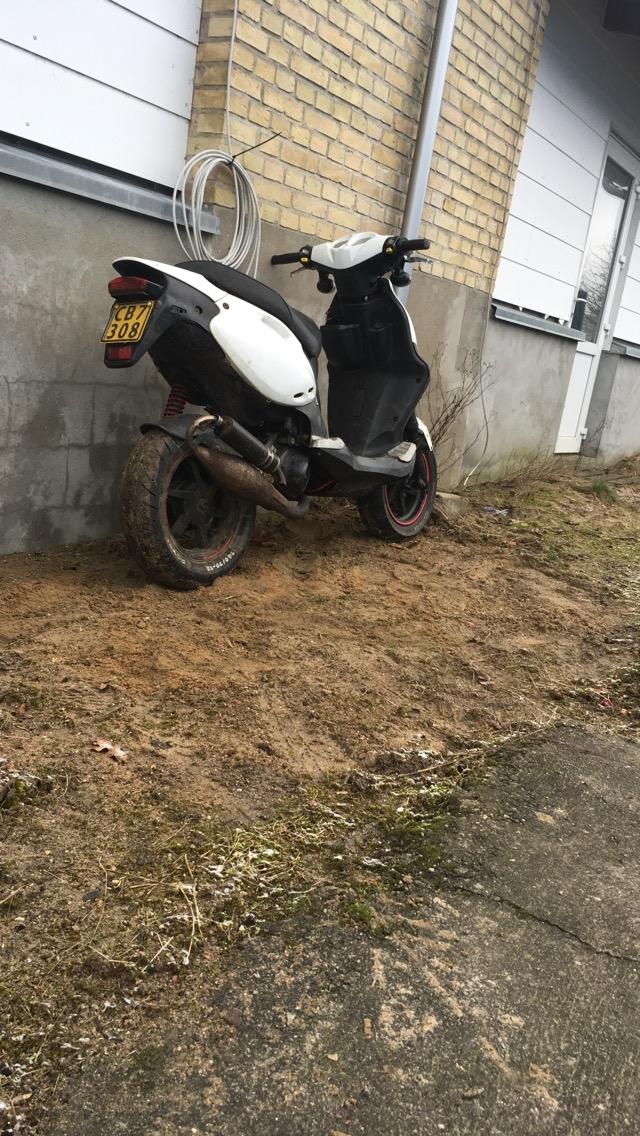 PGO Pmx sport billede 10