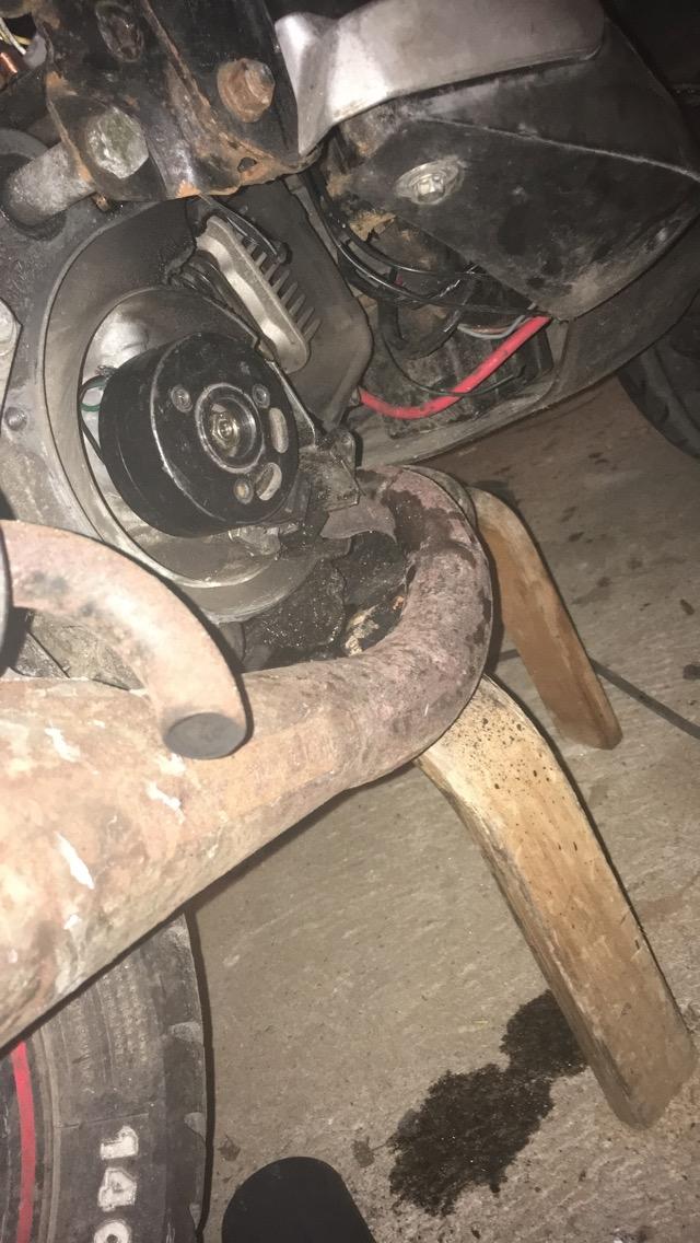 PGO Pmx sport billede 15