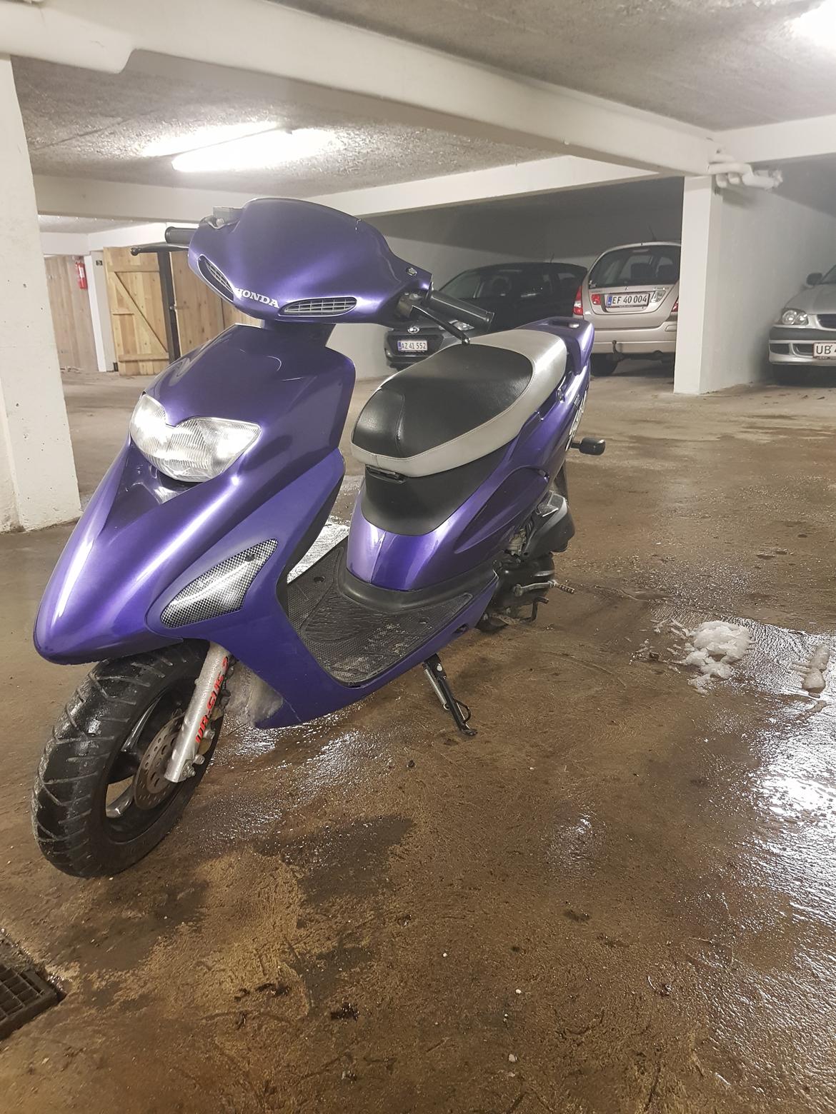 Honda sfx billede 7