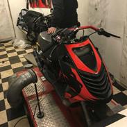 Aprilia Sonic LC Dk’s Hurtigste 2018 & 19