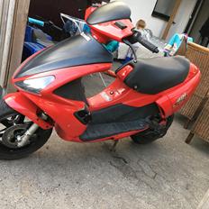 Benelli 491 LC DD (30'er)