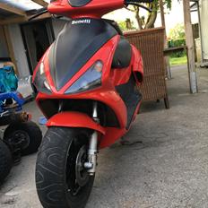 Benelli 491 LC DD (30'er)