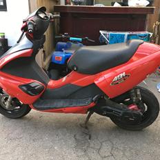 Benelli 491 LC DD (30'er)