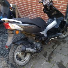 PGO g max