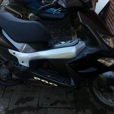PGO g max