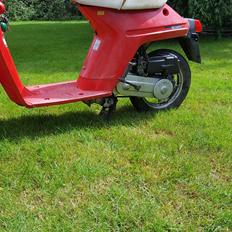 Honda Melody nt 50 mini