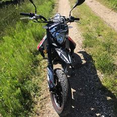 Apollo Orion   RX 36 Xtreme