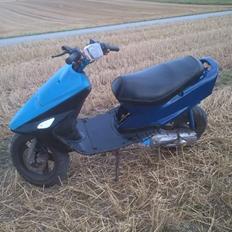 Kreidler Easy ride