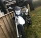 Aprilia SX50