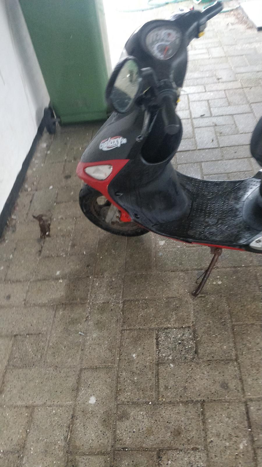 PGO galaxy 50 billede 5