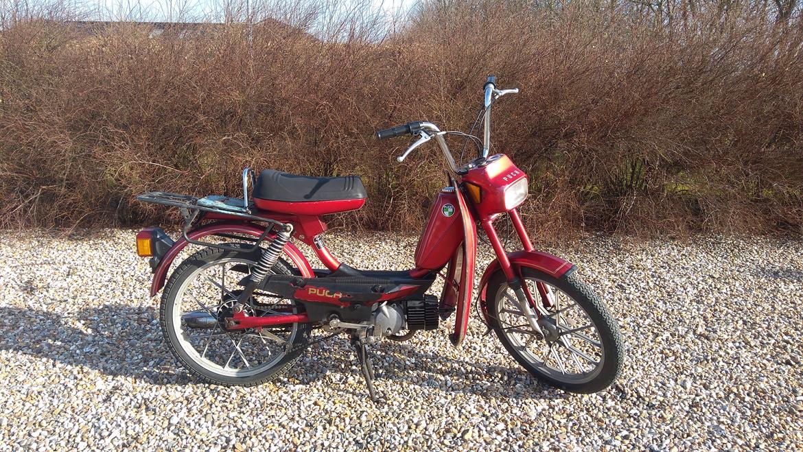 Puch maxi x30 (SOLGT) billede 1