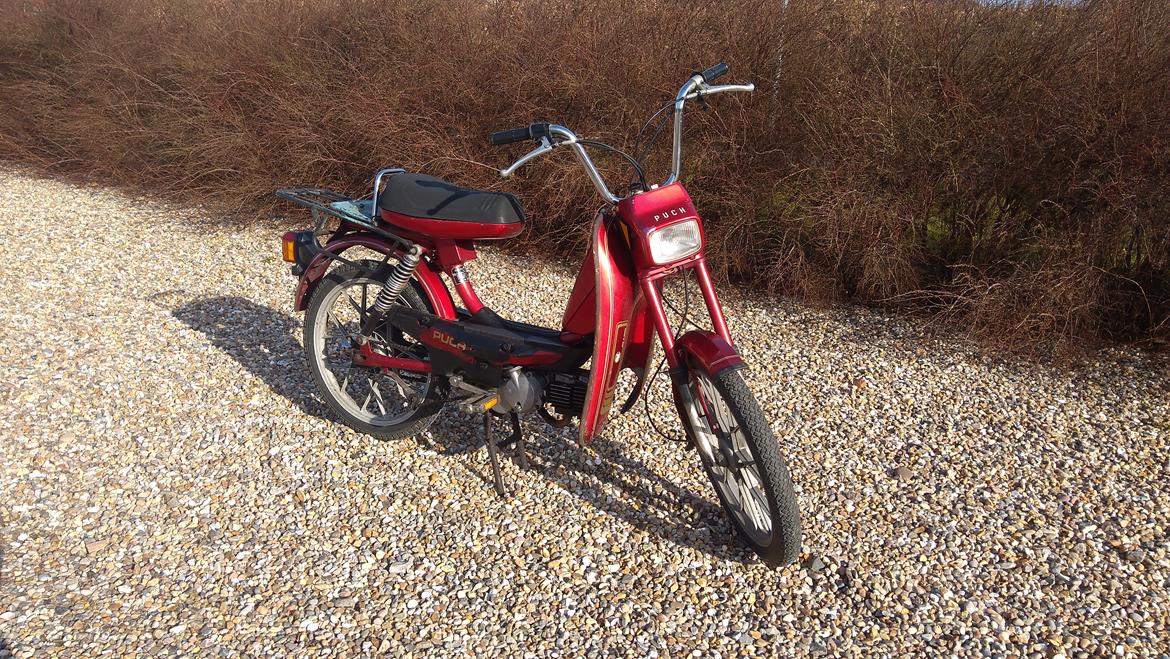 Puch maxi x30 (SOLGT) billede 3