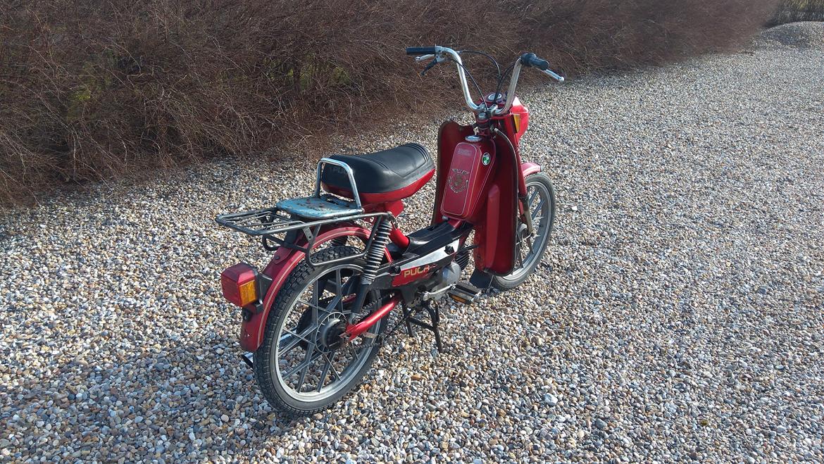 Puch maxi x30 (SOLGT) billede 9