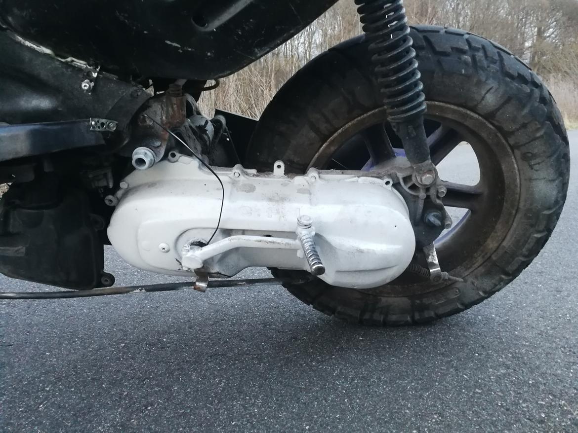 CPI hussar  billede 4