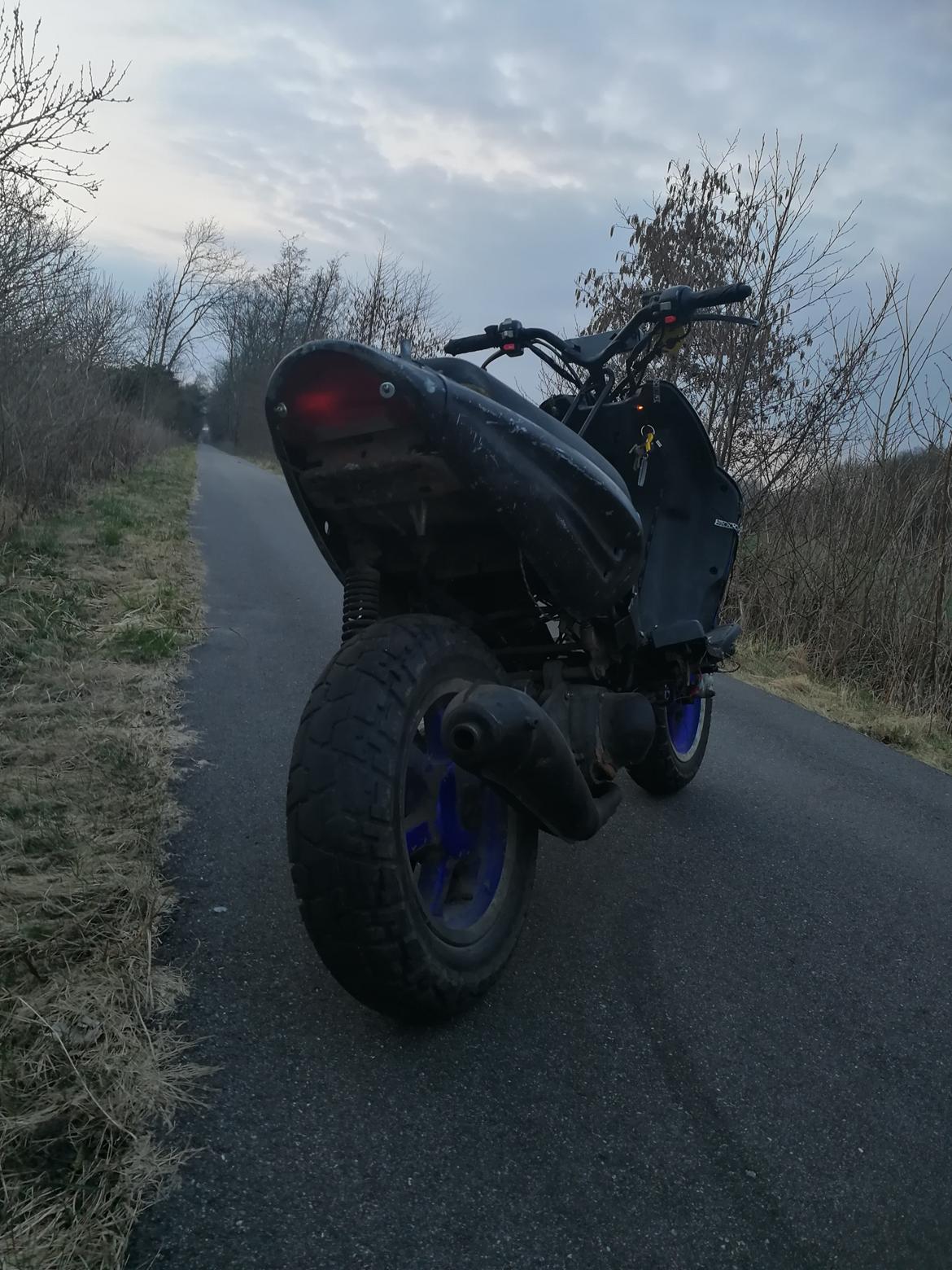 CPI hussar  billede 7